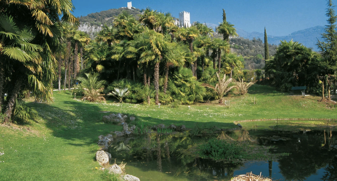 Prestigioso attico con vista lago Arco (TN) - Trentino Alto Adige